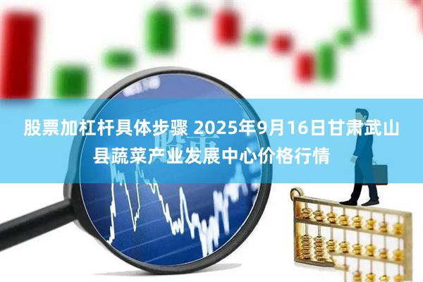 股票加杠杆具体步骤 2025年9月16日甘肃武山县蔬菜产业发展中心价格行情