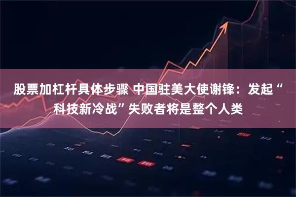 股票加杠杆具体步骤 中国驻美大使谢锋：发起“科技新冷战”失败者将是整个人类